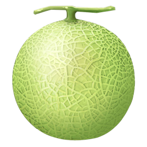 Melon PNG-14375